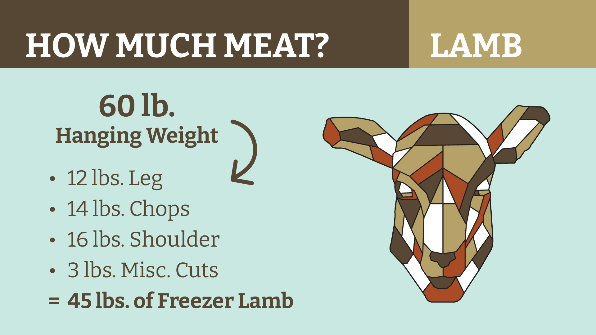 Lamb Dressout